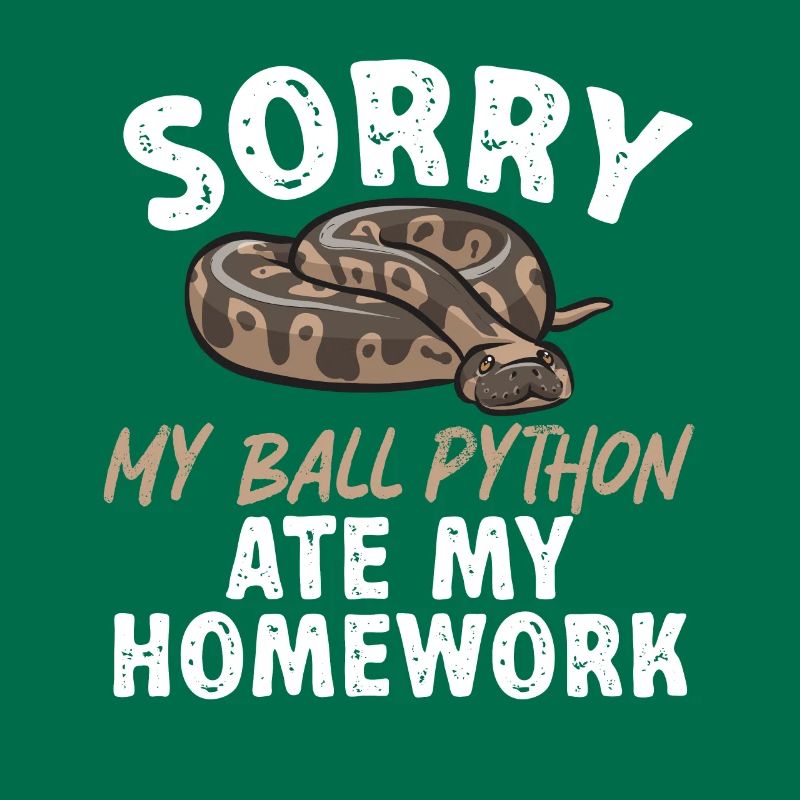 Ball Python Schlange Königspython