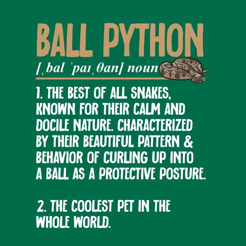 Ball Python Snake King Python
