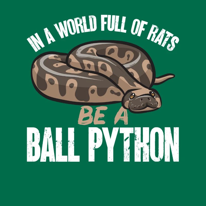 Ball Python Snake King Python