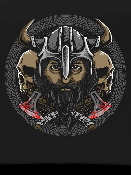 Viking Warriors