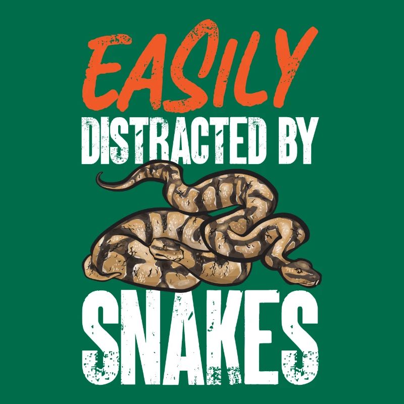 Ball Python Snake King Python