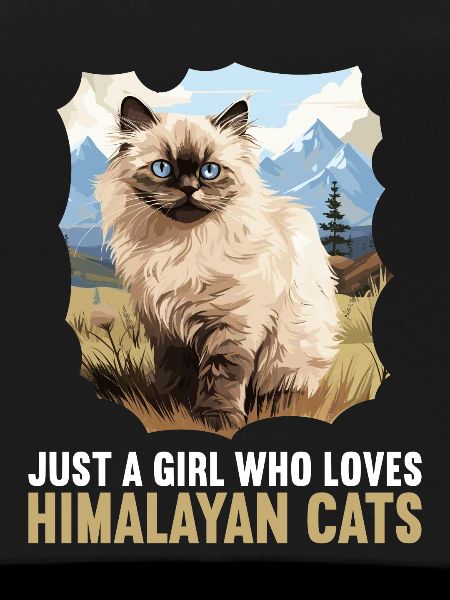 Himalayan Cat Colourpoint Katze