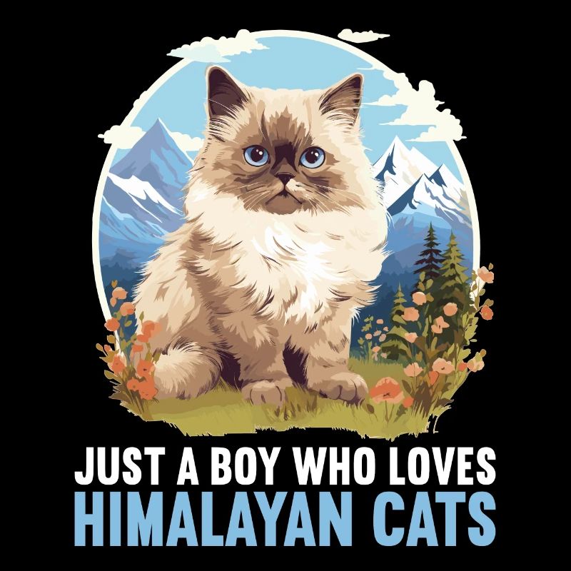 Himalayan Cat Colourpoint Katze