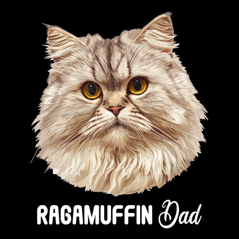 Ragamuffin Kätzchen Ragamuffin Katze
