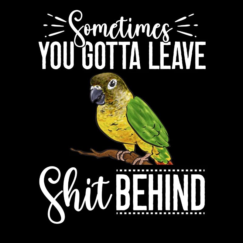 Molinasittich Papagei Vogel Sittich