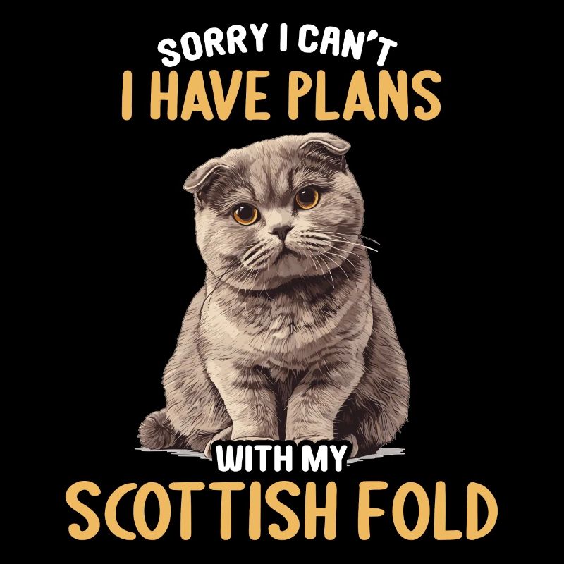 Scottish Fold Kitten Scottish Fold Cat