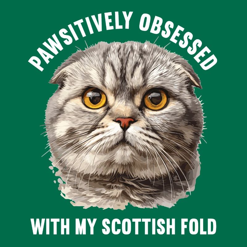 Scottish Fold Kitten Scottish Fold Cat