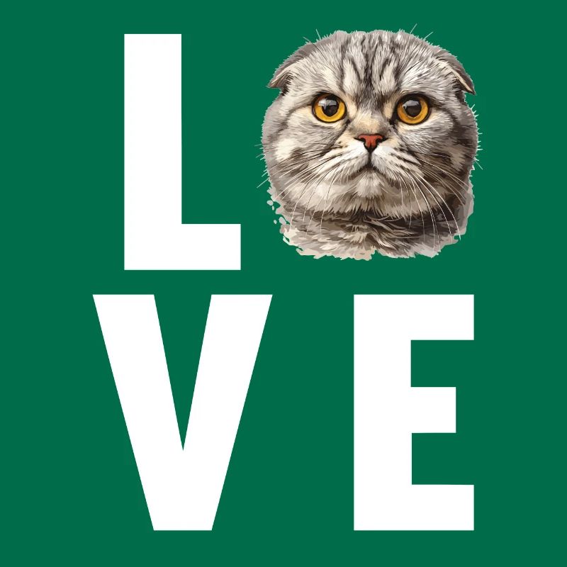 Scottish Fold Kätzchen Scottish Fold Katze