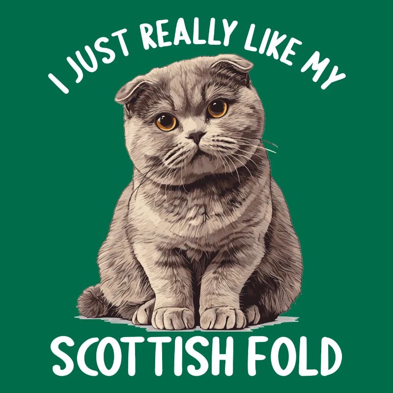 Scottish Fold Kätzchen Scottish Fold Katze