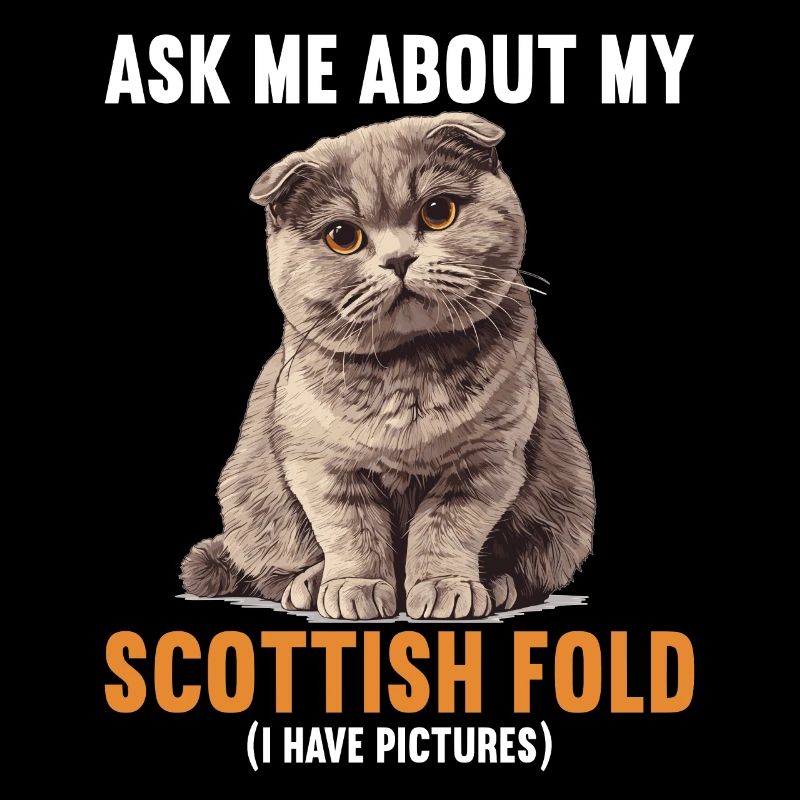 Scottish Fold Kätzchen Scottish Fold Katze