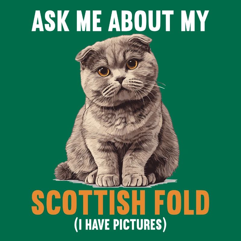Scottish Fold Kätzchen Scottish Fold Katze