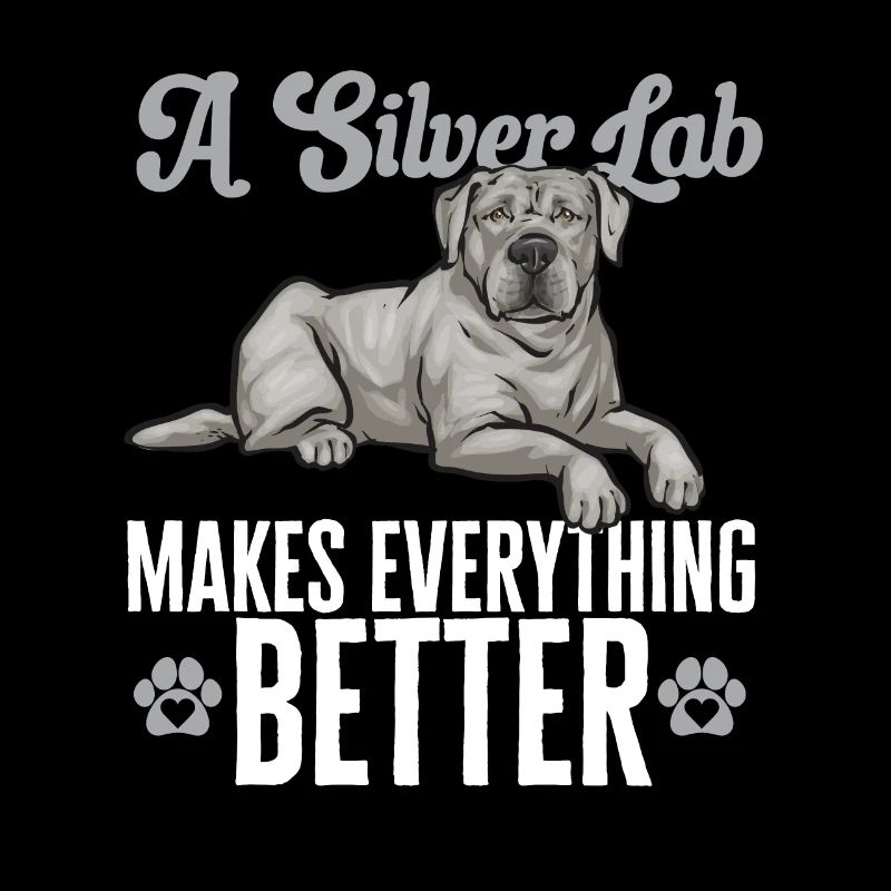 Silver Labrador Retriever Silver Lab