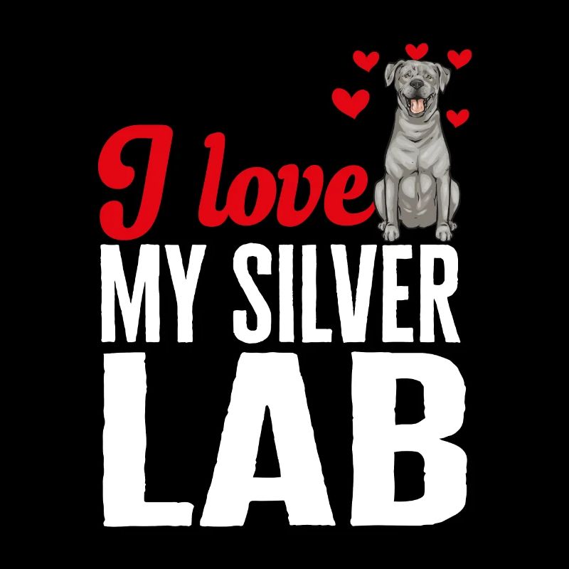 Silver Labrador Retriever Silver Lab