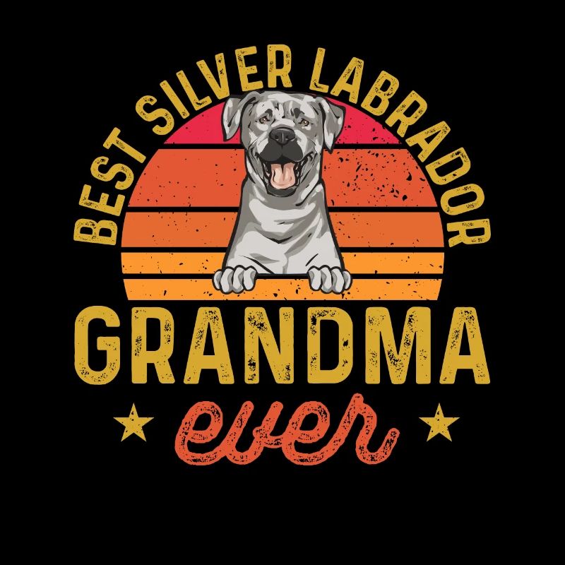 Silver Labrador Retriever Silver Lab