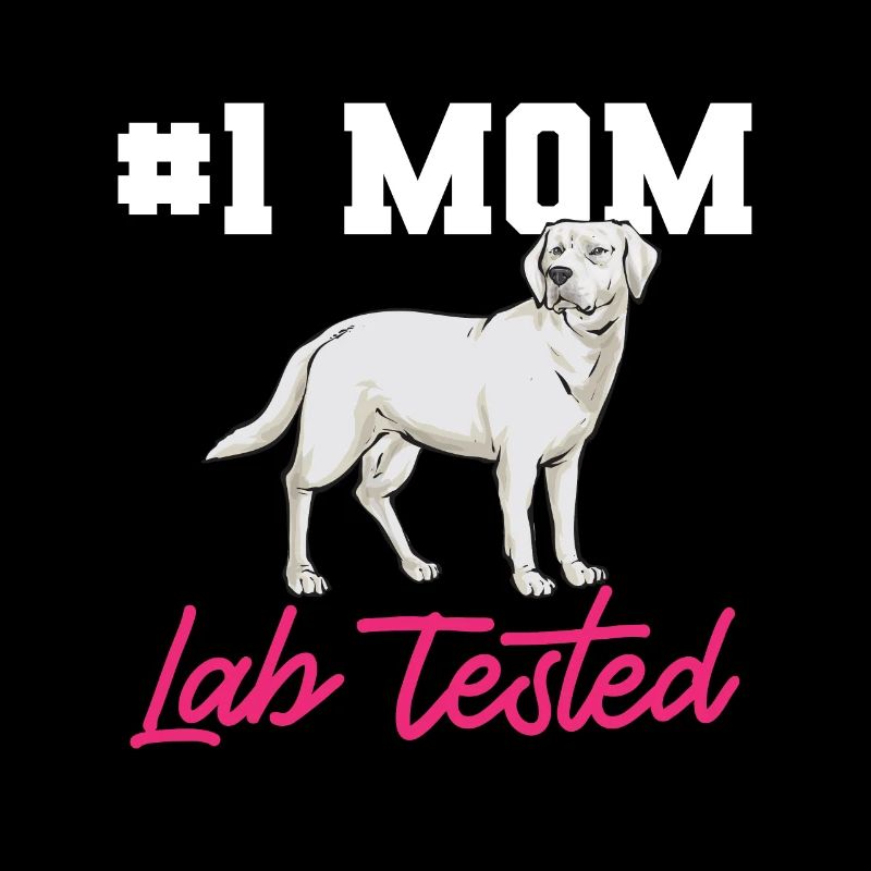 Labrador Retriever blanc Labrador Labrador blanc
