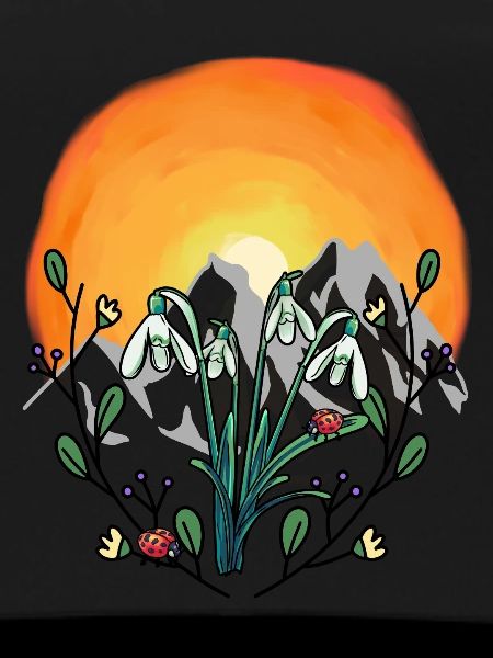 Sunshine Spring Snowdrops Alps
