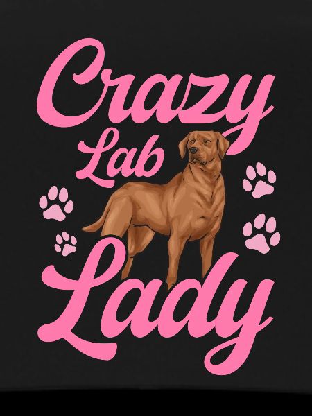 Fuchsroter Labrador Retriever Fox Red Labrador