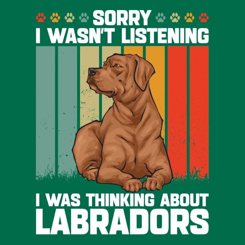 Fuchsroter Labrador Retriever Fox Red Labrador