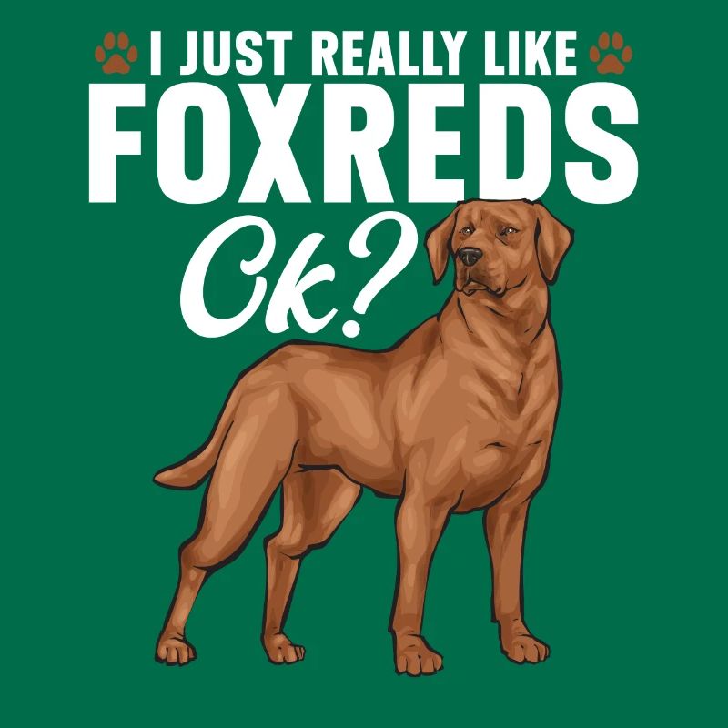 Fuchsroter Labrador Retriever Fox Red Labrador