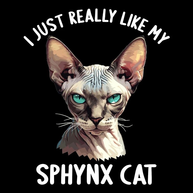 Sphynx Kätzchen Sphynx Katze