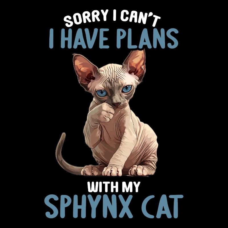 Sphynx Kätzchen Sphynx Katze