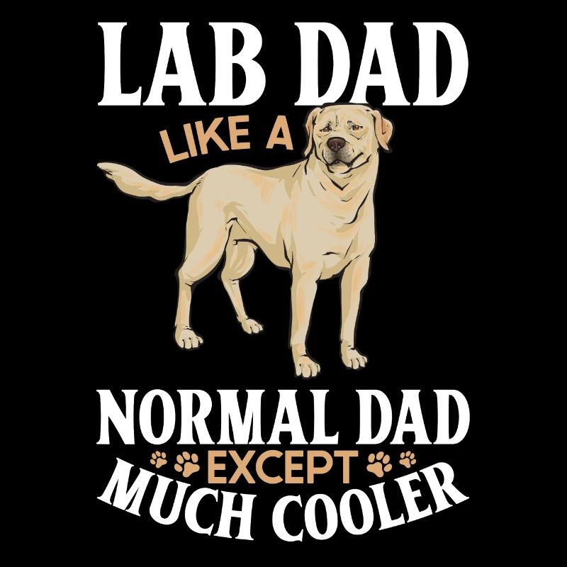 Labrador Retriever jaune