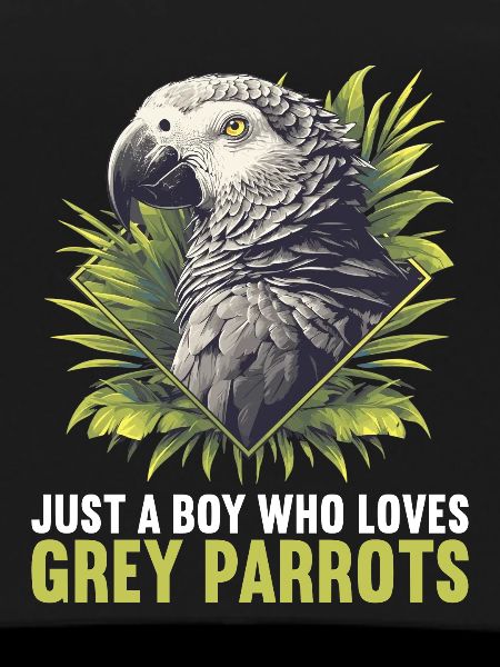 African grey parrots