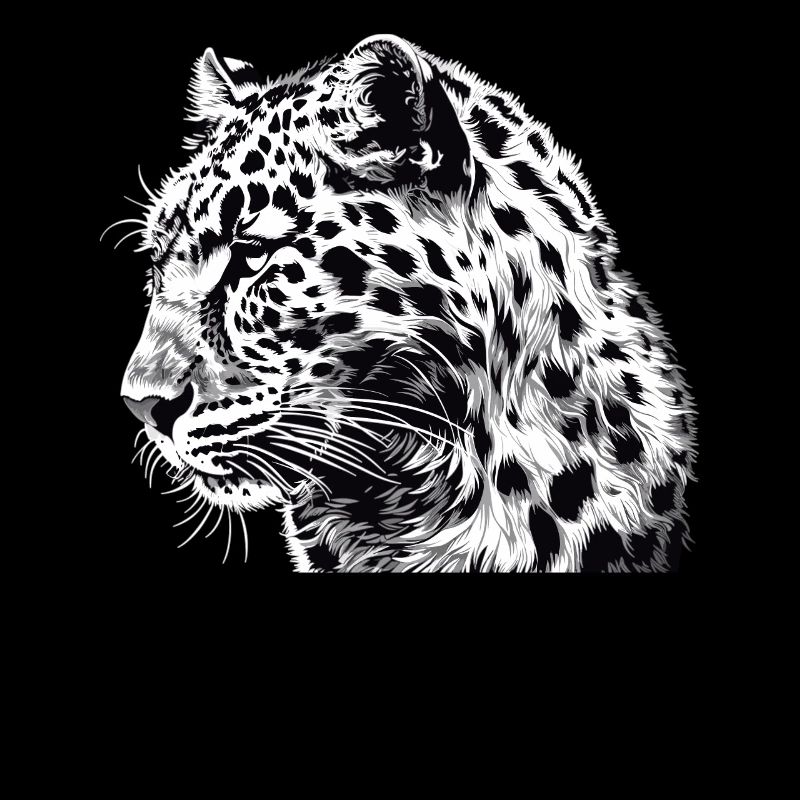 Leoparden Leopard