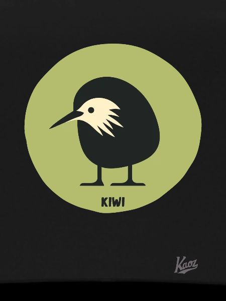 Abstract comic kiwi bird
