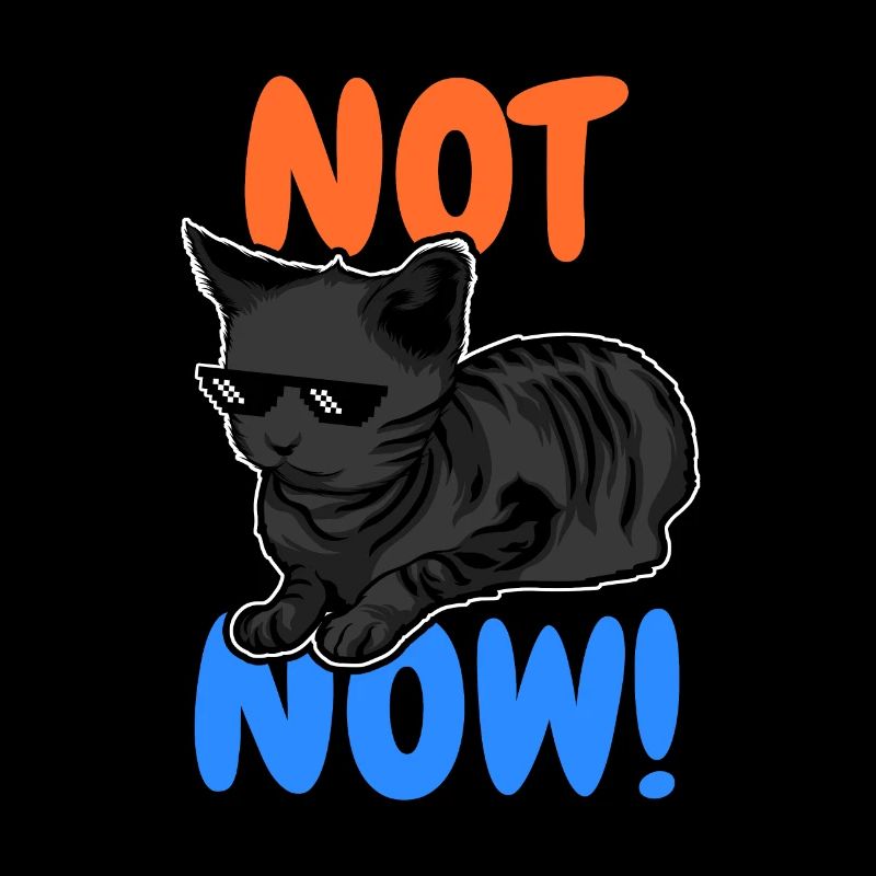 Funny Cat