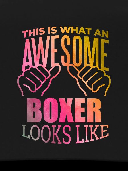 Boxen Boxen Boxen