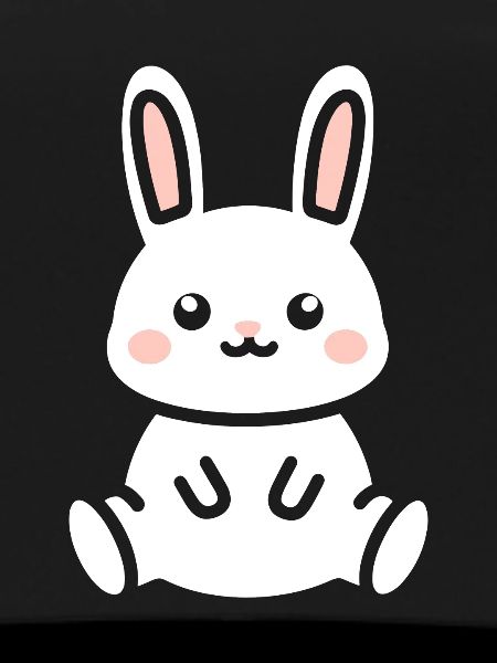Petit bébé lapin