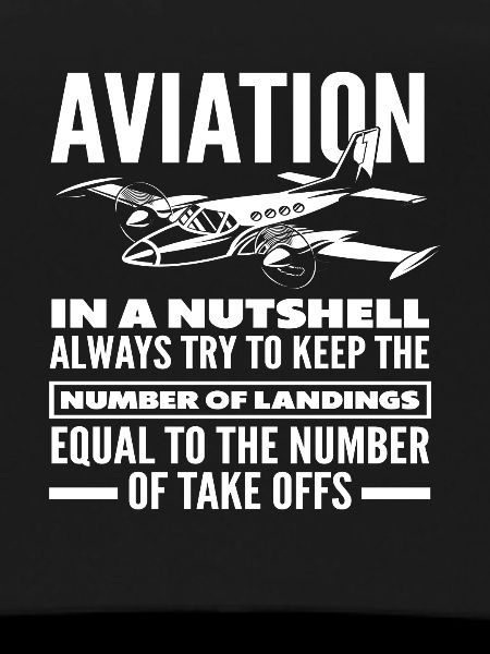 Pilot Aviation Hobby Profession