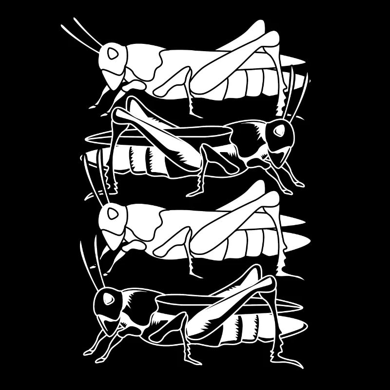 Grasshopper grasshopper