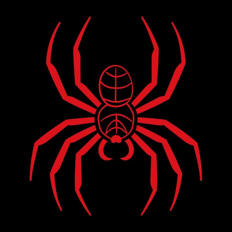 Spinne