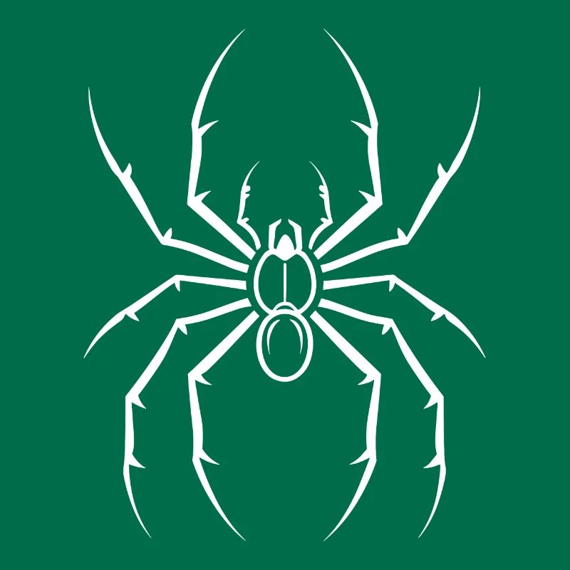 Spinne