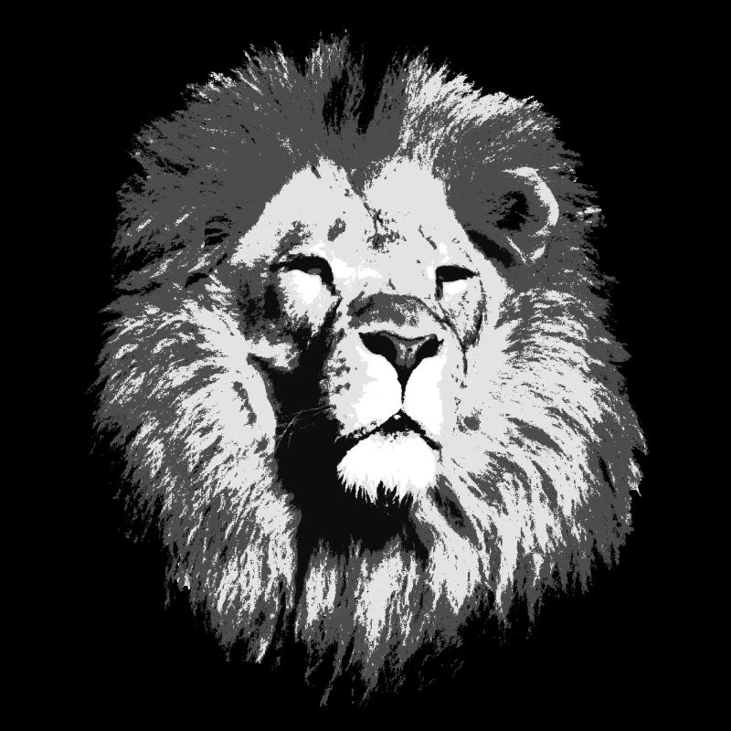 Loewe big cat