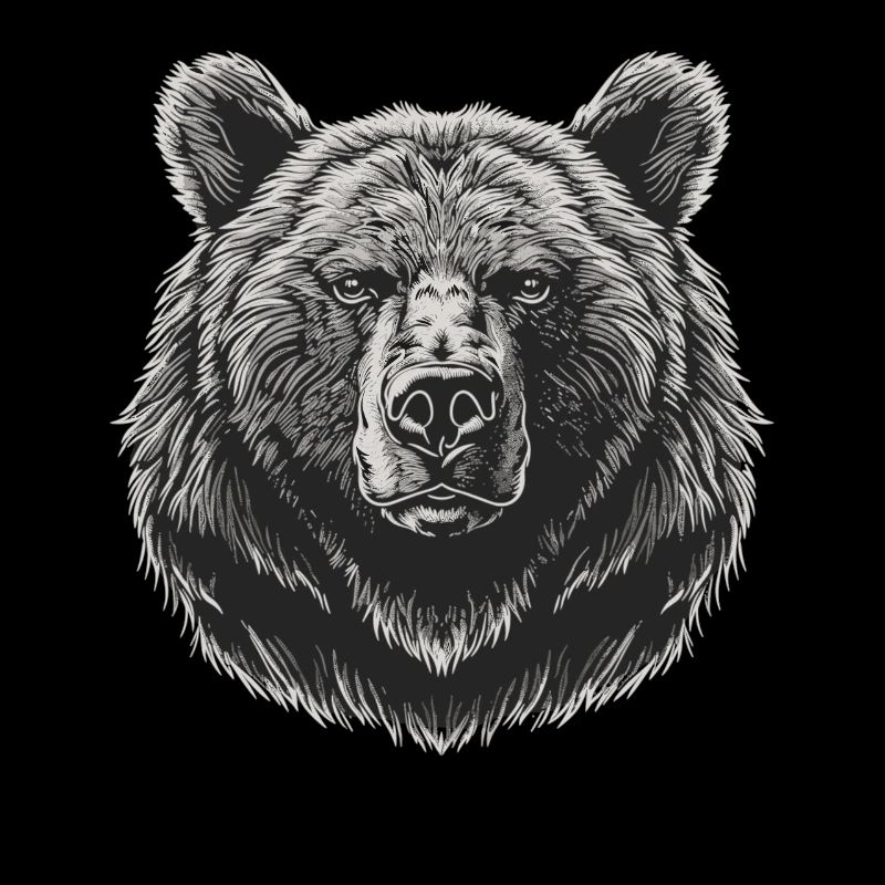 Bear Bären Bär
