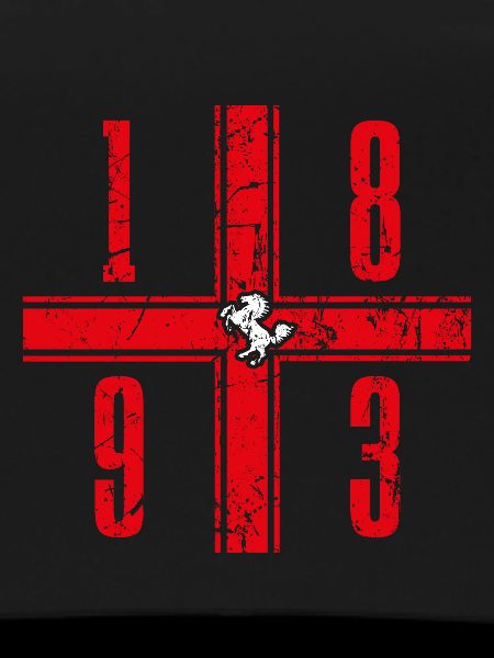 Stuttgart Fanmotiv