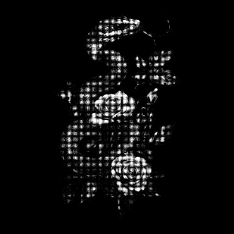 Snake Snake Rose Aesthetics Floral Gift