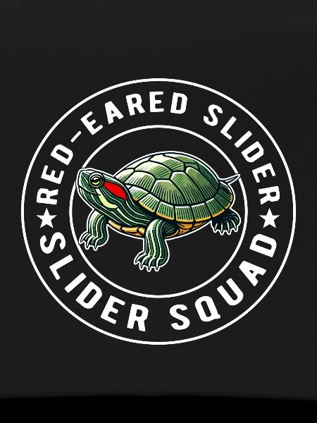 Turtle Red-eared Turtle