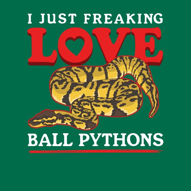 Königspython Schlangen Python Geschenke