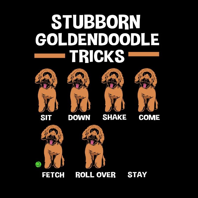 Goldendoodle