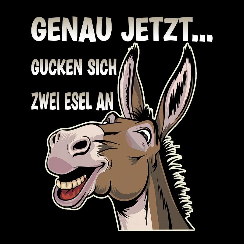 Right now, two donkeys are looking at each other