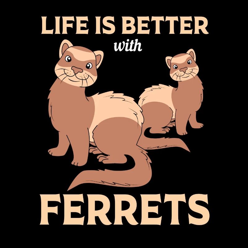 Furet