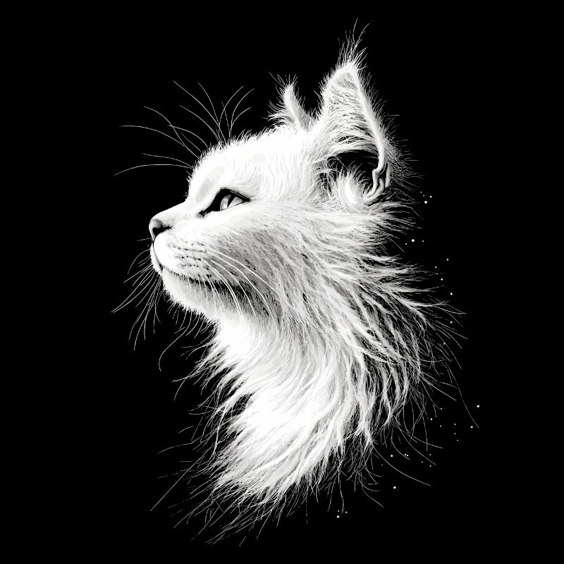 Chat Angora Blanc Chat Angora Chats Angora Mignons