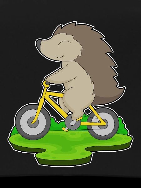Vélo hérisson