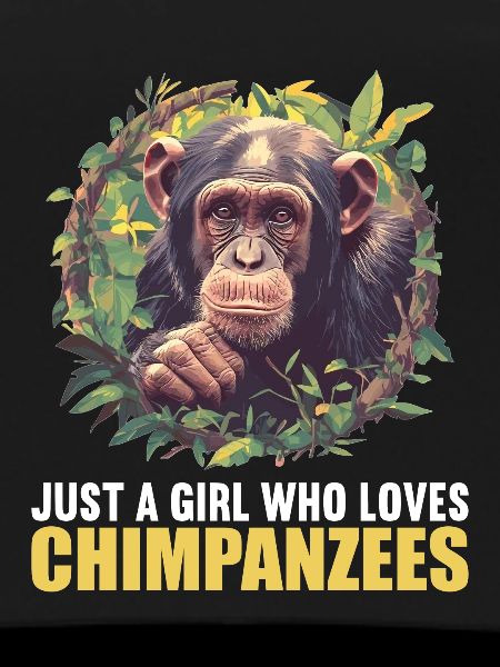 Chimpanzee Schimpansen Schimpanse