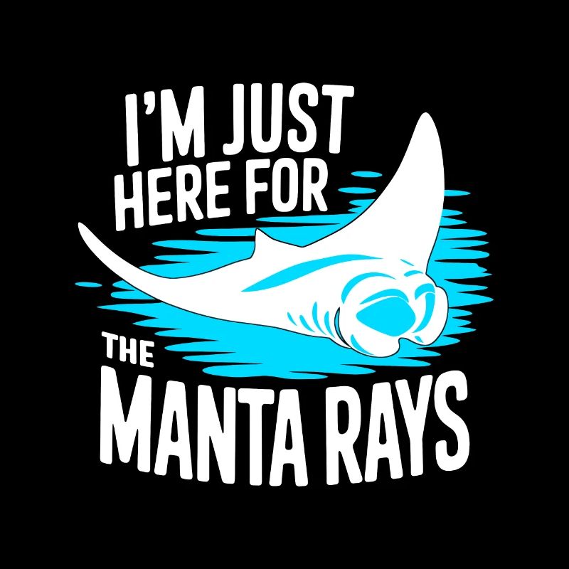 Mantarochen Großer Manta Meeresbewohner
