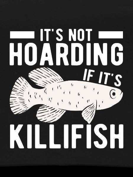 Killifisch Aquarium Fish Lovers